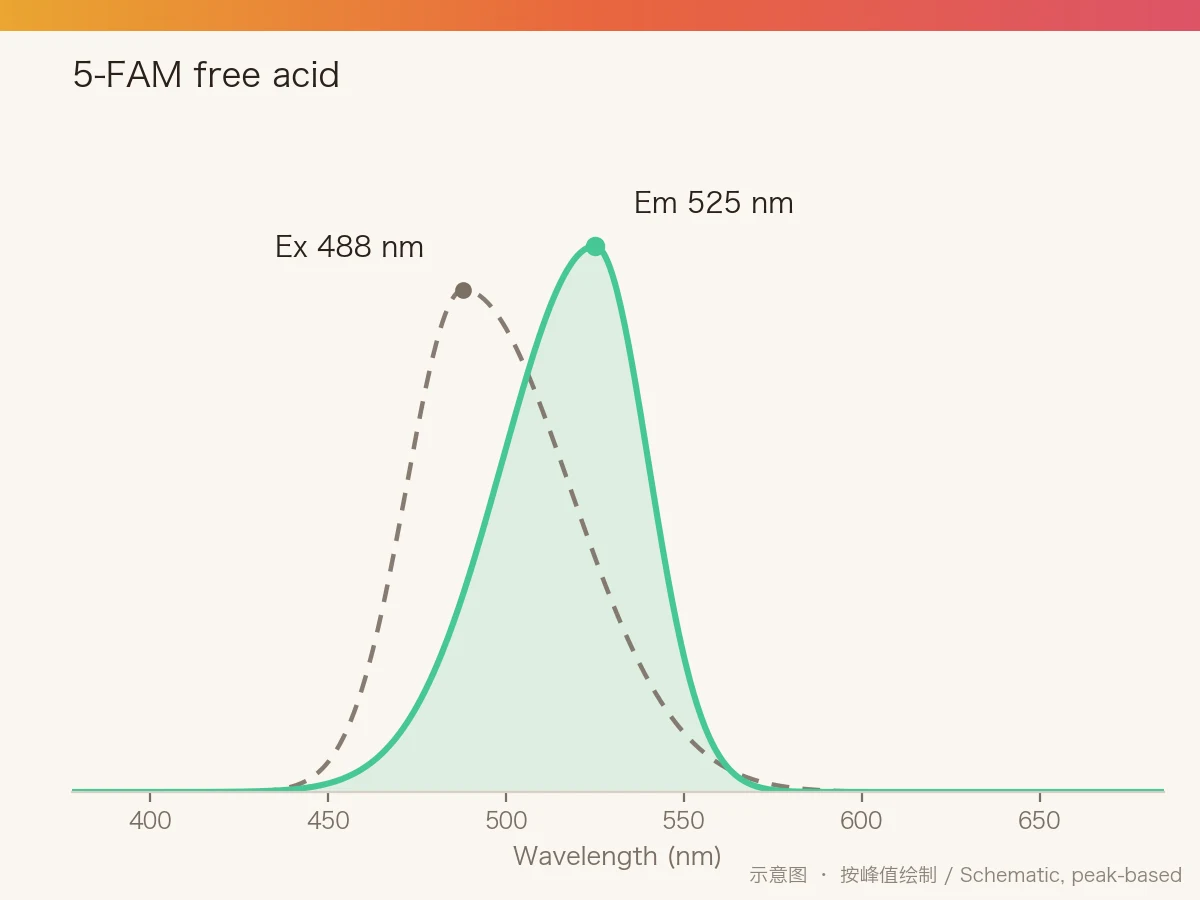 5-FAM free acid 的激发/发射光谱示意图