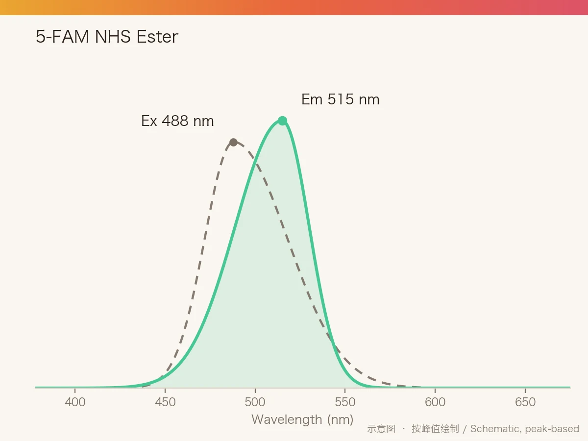 5-FAM NHS Ester 的激发/发射光谱示意图