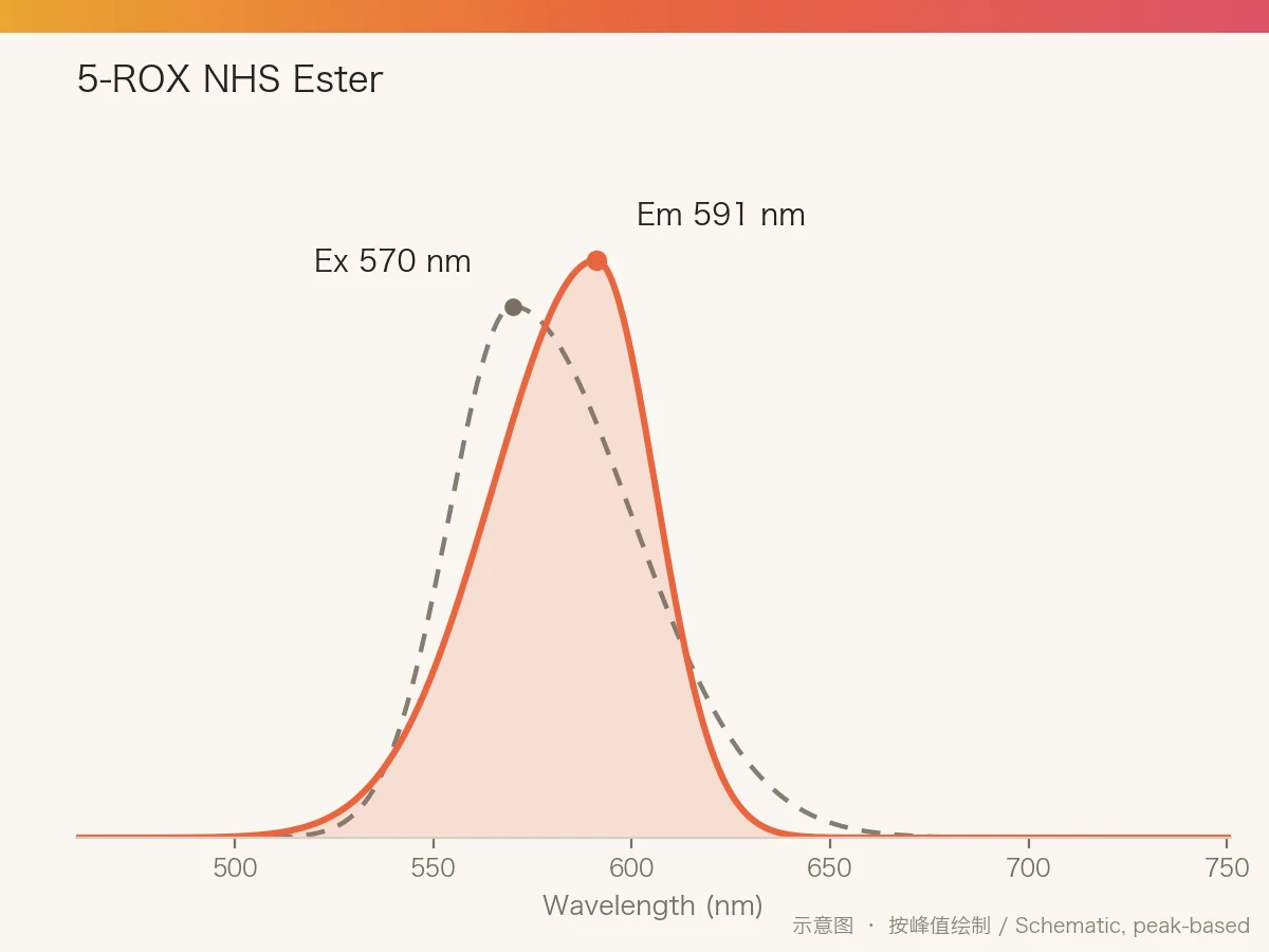 5-ROX NHS Ester 的激发/发射光谱示意图