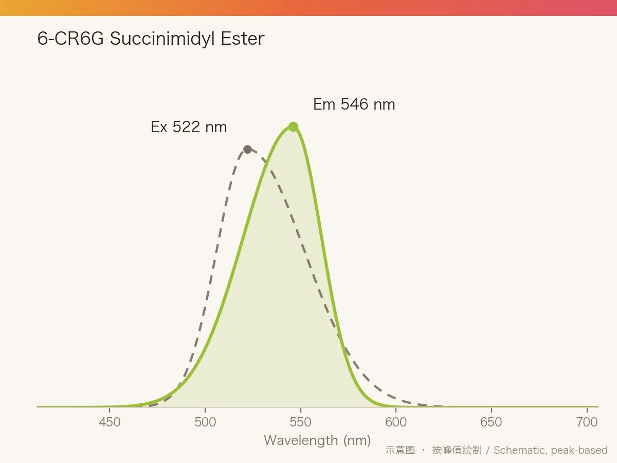 6-CR6G Succinimidyl Ester 的激发/发射光谱示意图