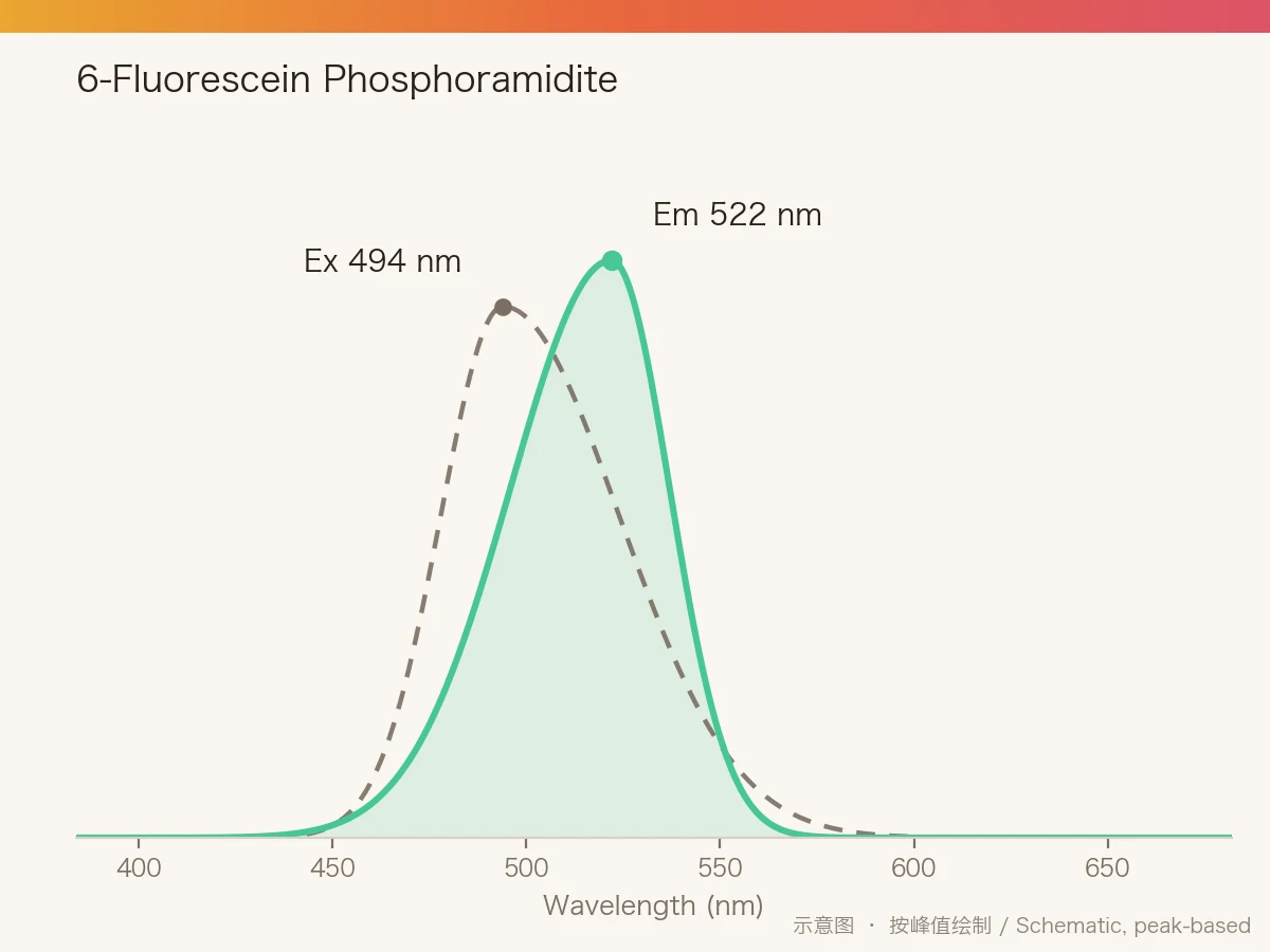 6-Fluorescein Phosphoramidite 的激发/发射光谱示意图