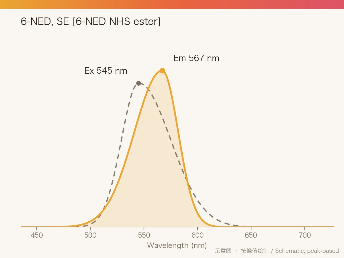 6-NED, SE [6-NED NHS Ester] 的激发/发射光谱示意图