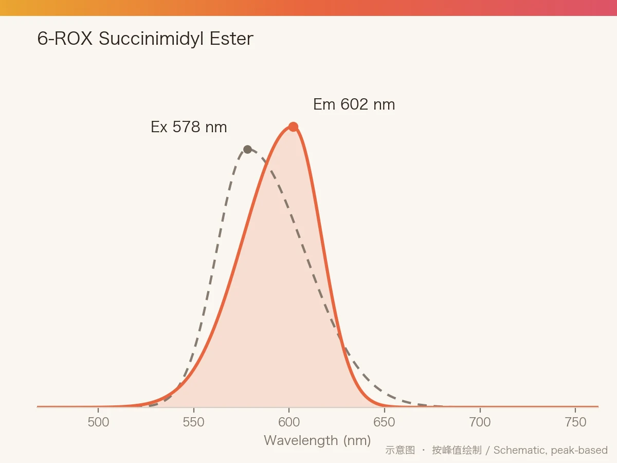 6-ROX Succinimidyl Ester 的激发/发射光谱示意图
