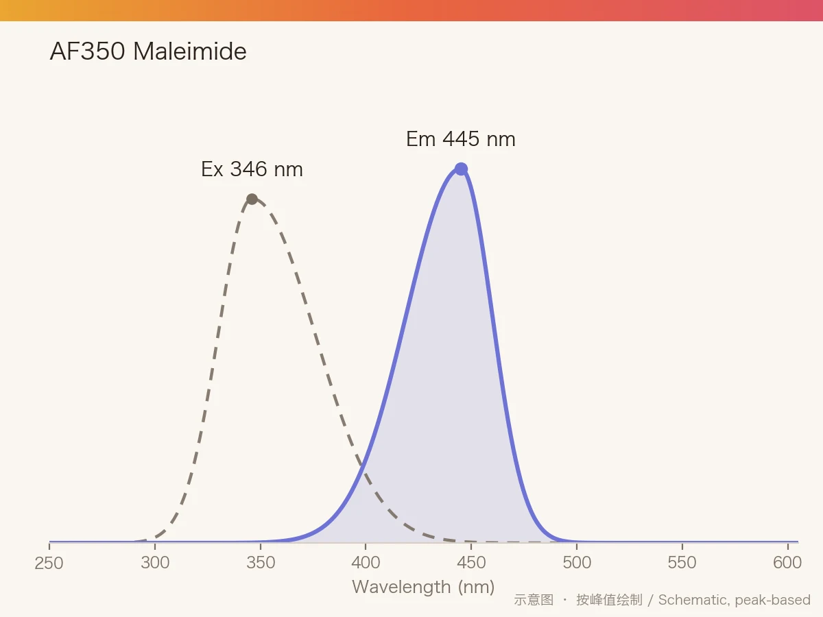 AF350 Maleimide 的激发/发射光谱示意图