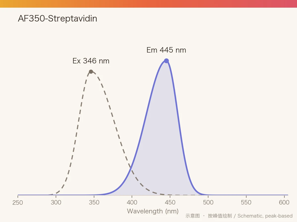 AF350-Streptavidin 的激发/发射光谱示意图