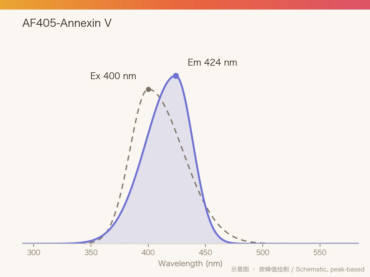 AF405-Annexin V 的激发/发射光谱示意图