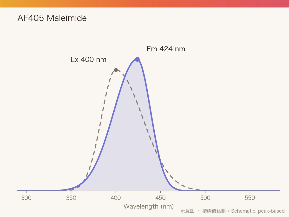 AF405 Maleimide 的激发/发射光谱示意图