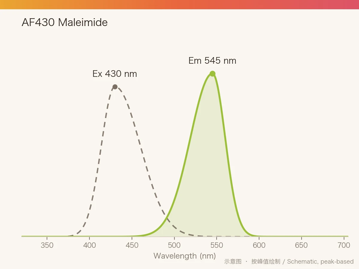 AF430 Maleimide 的激发/发射光谱示意图