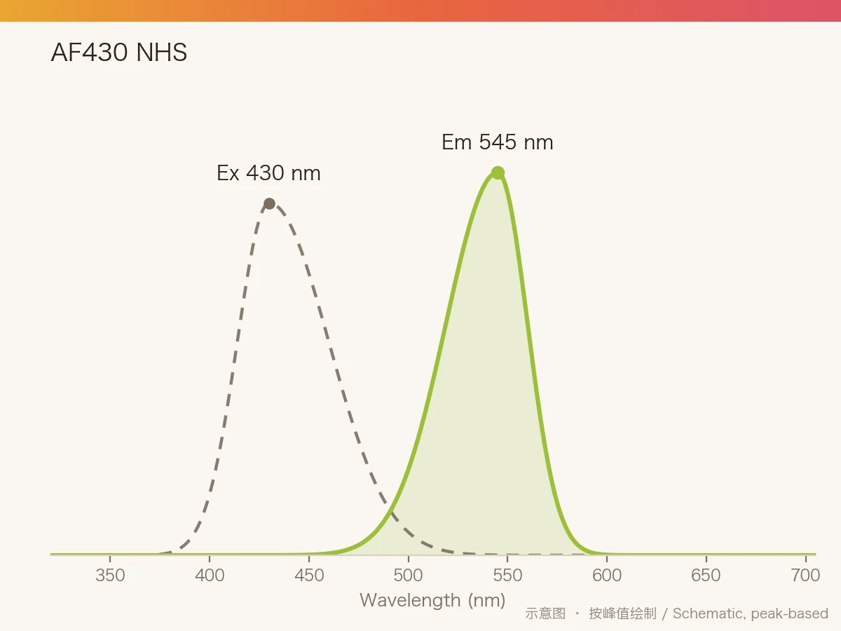 AF430 NHS Ester 的激发/发射光谱示意图