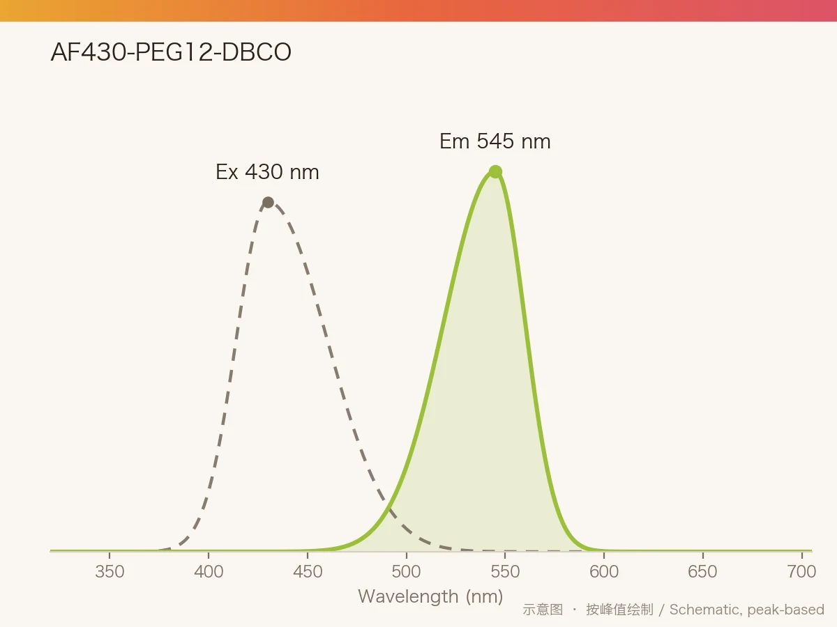 AF430-PEG12-DBCO 的激发/发射光谱示意图