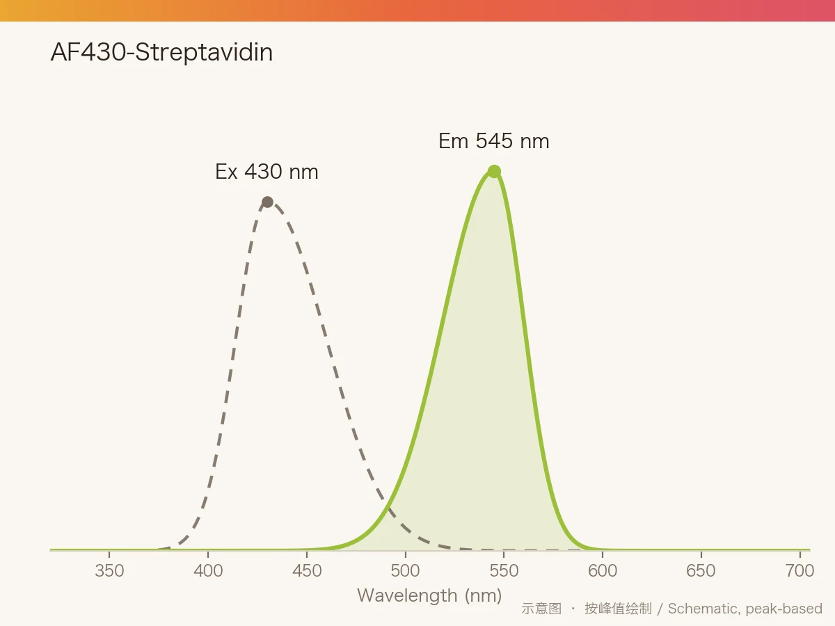 AF430-Streptavidin 的激发/发射光谱示意图