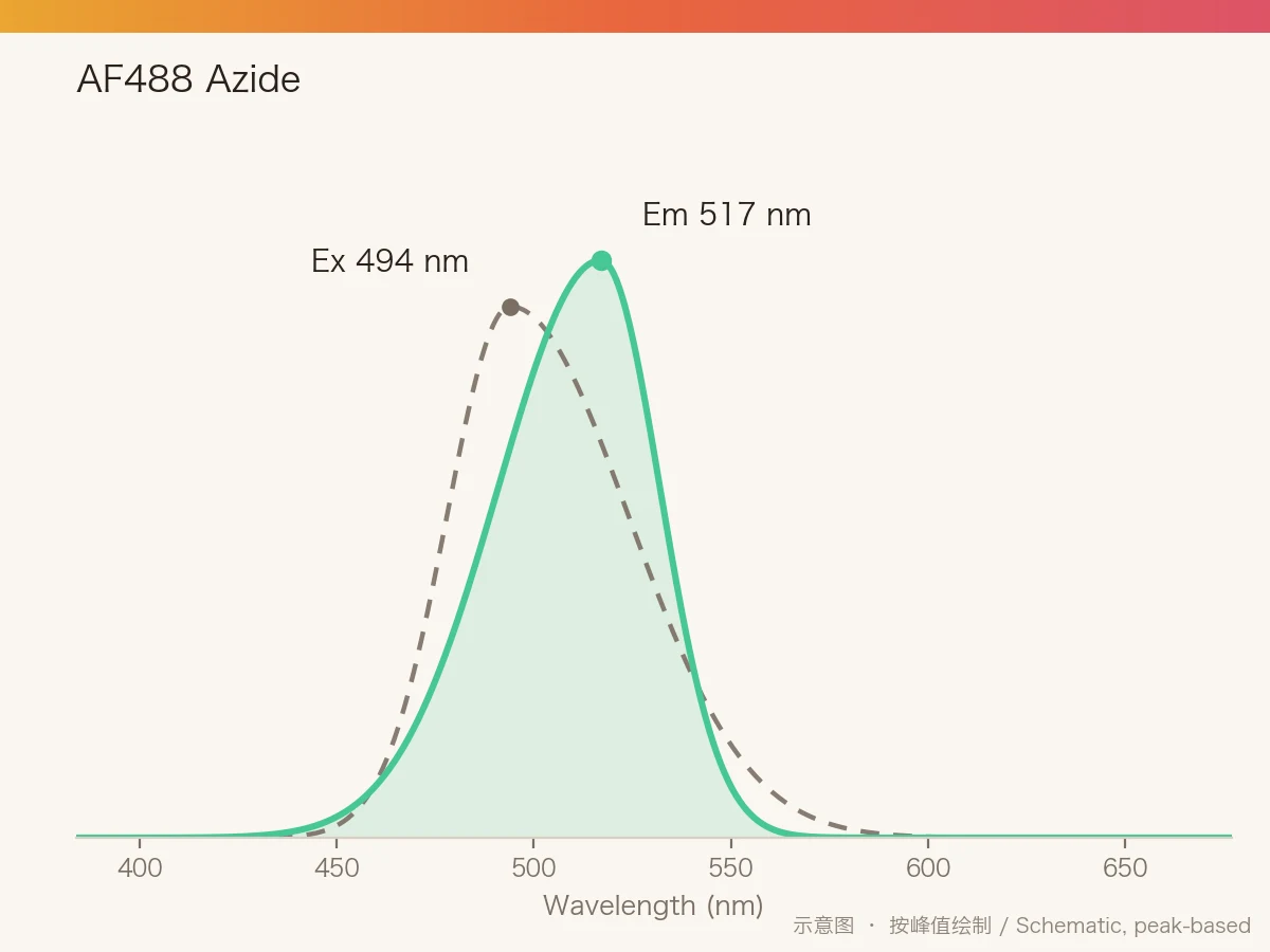 AF488 Azide 的激发/发射光谱示意图