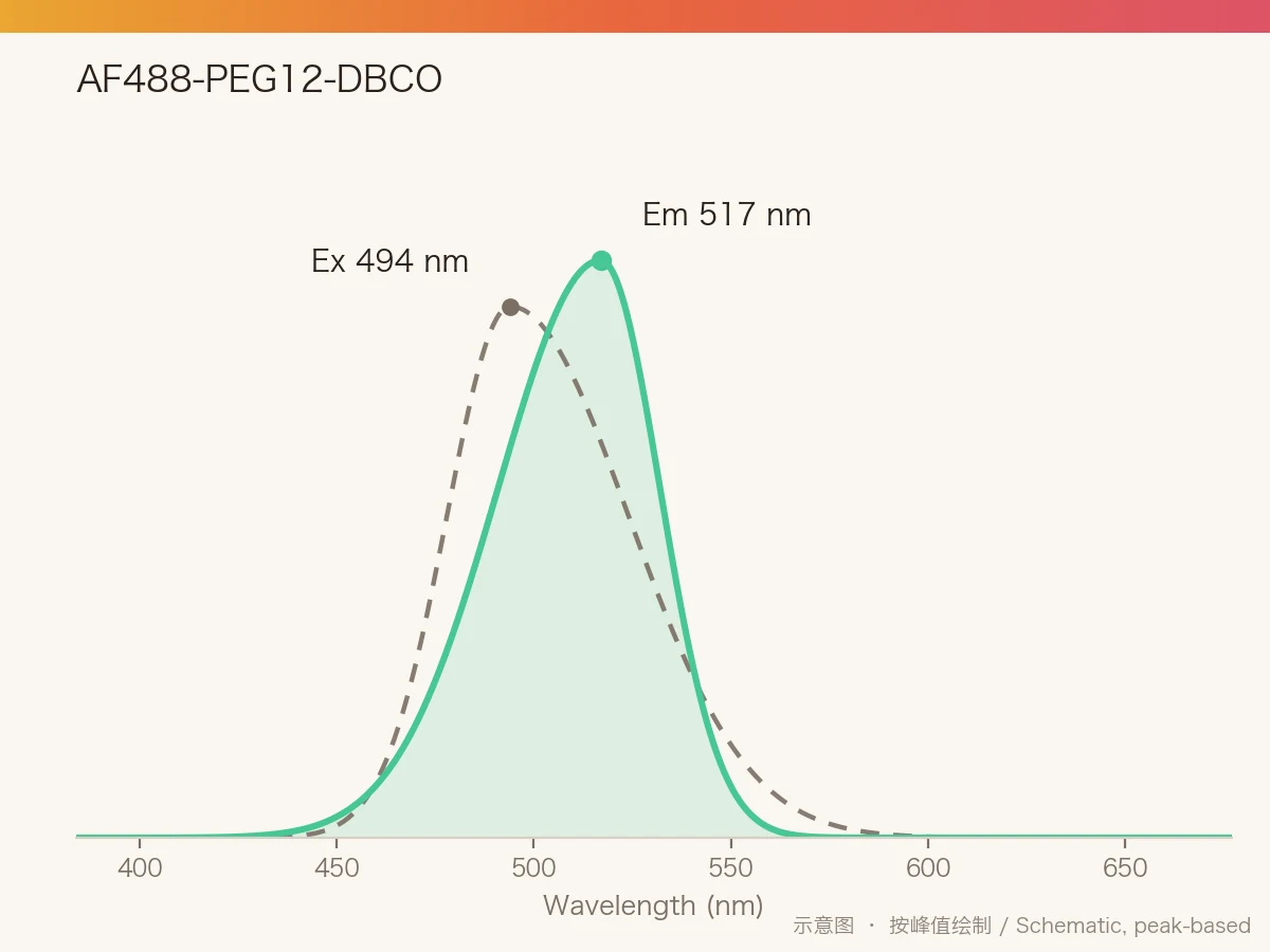 AF488-PEG12-DBCO 的激发/发射光谱示意图