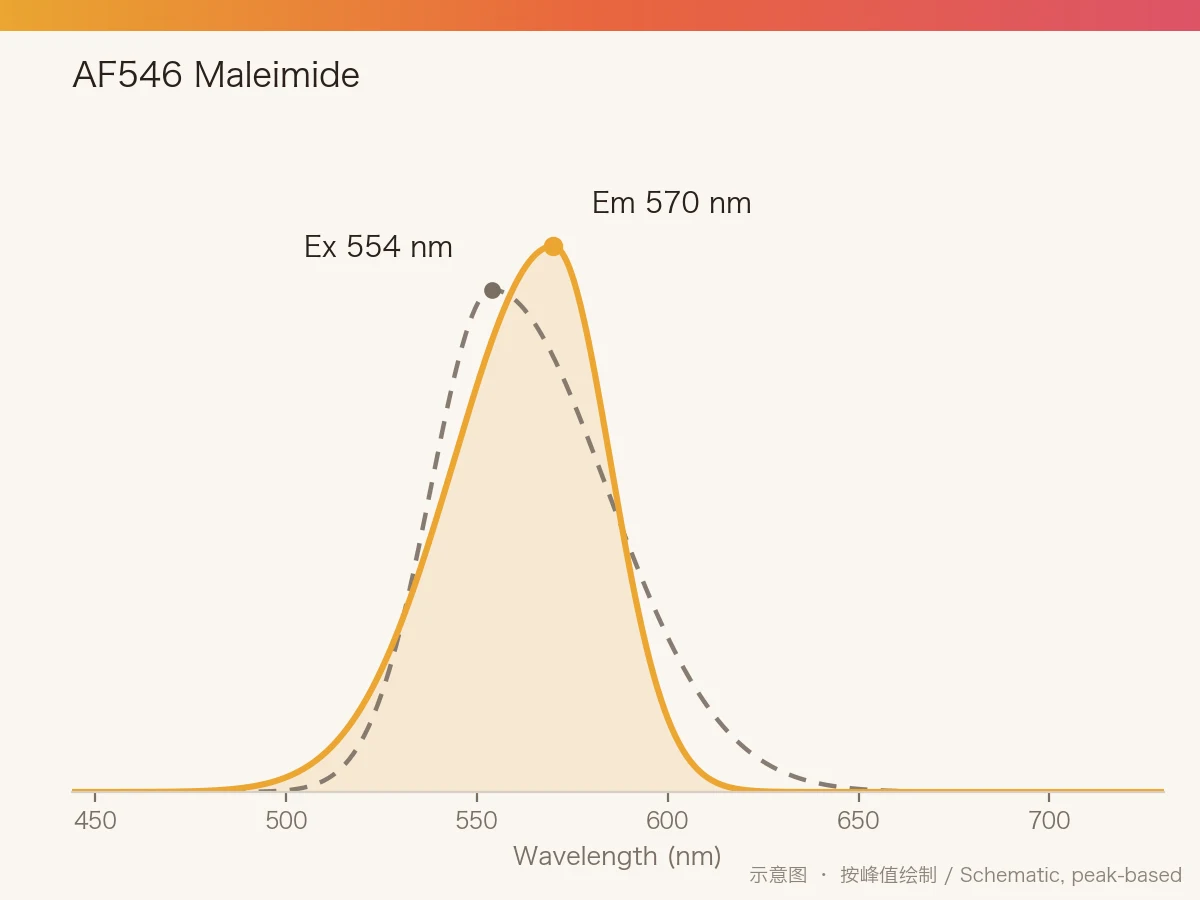 AF546 Maleimide 的激发/发射光谱示意图