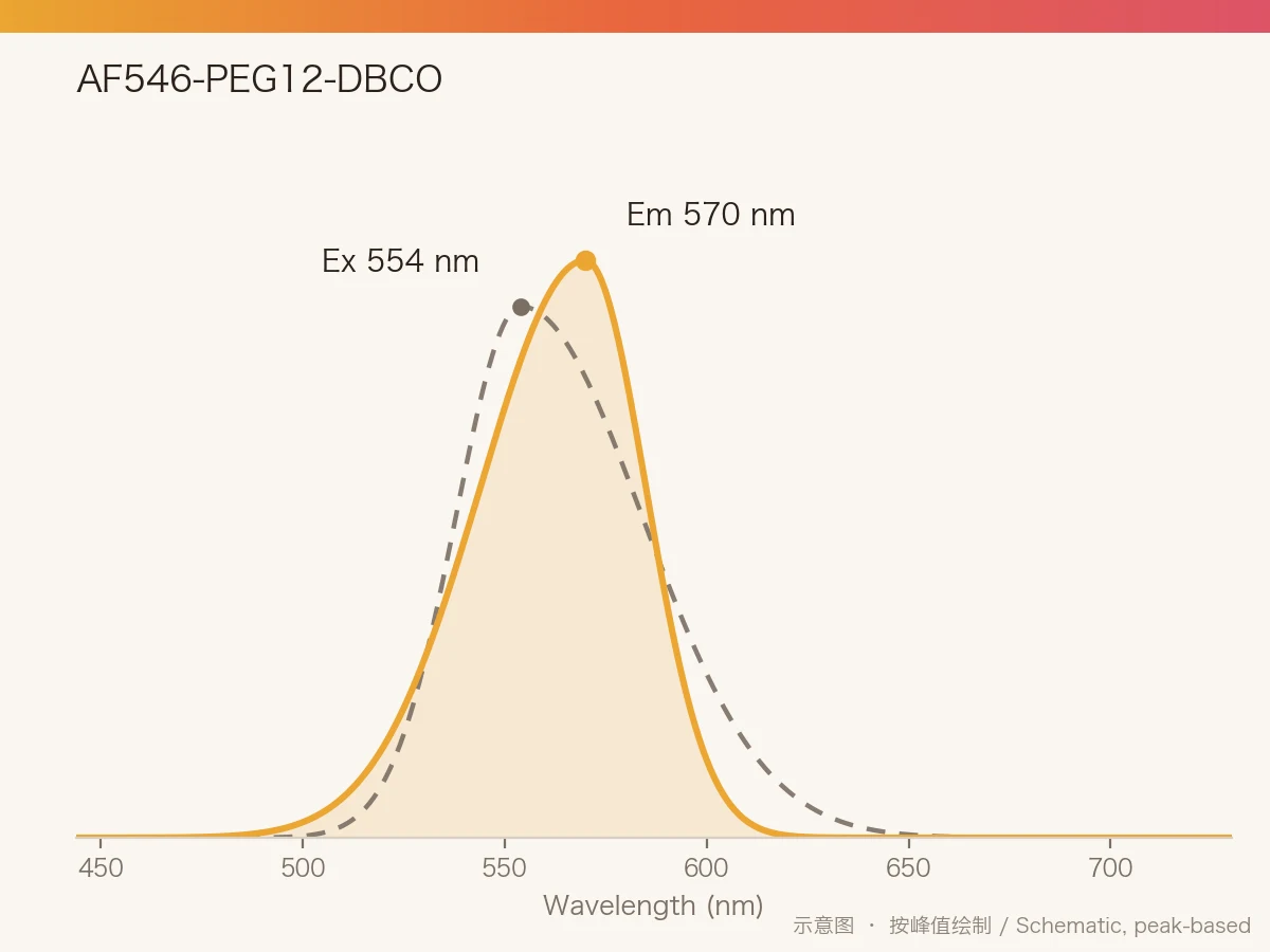 AF546-PEG12-DBCO 的激发/发射光谱示意图