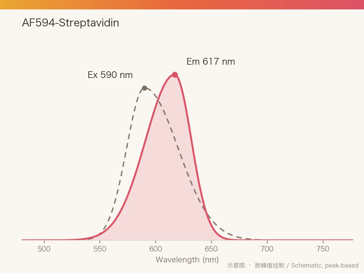 AF594-Streptavidin 的激发/发射光谱示意图