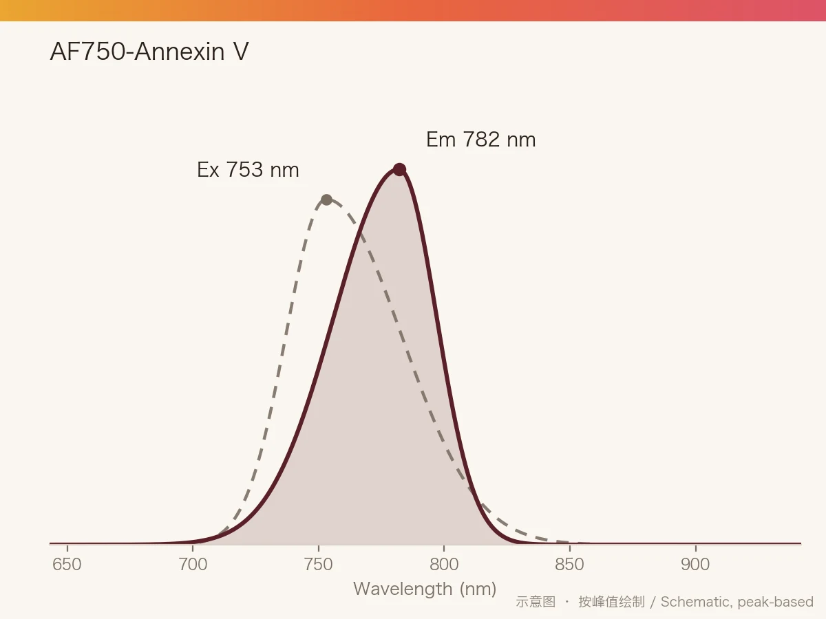 AF750-Annexin V 的激发/发射光谱示意图