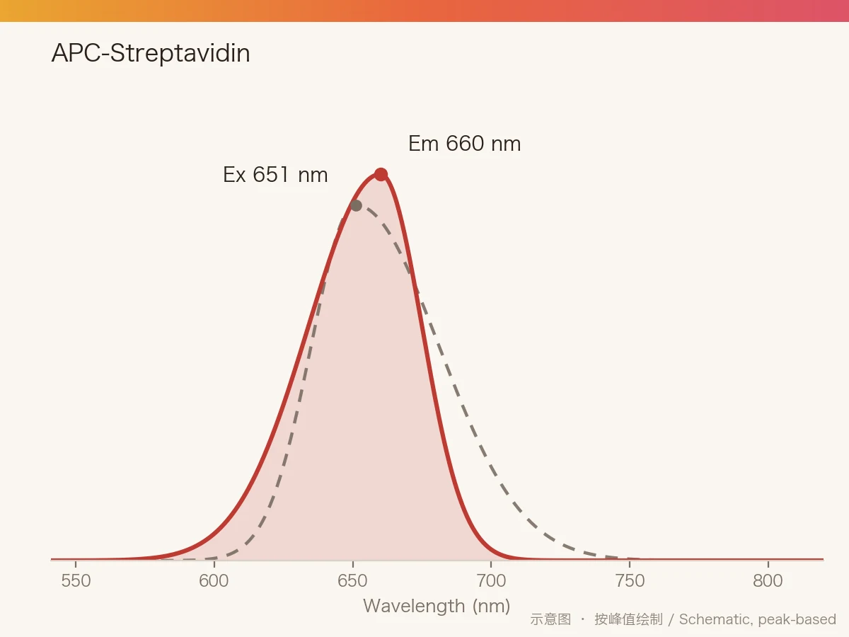 APC-Streptavidin 的激发/发射光谱示意图
