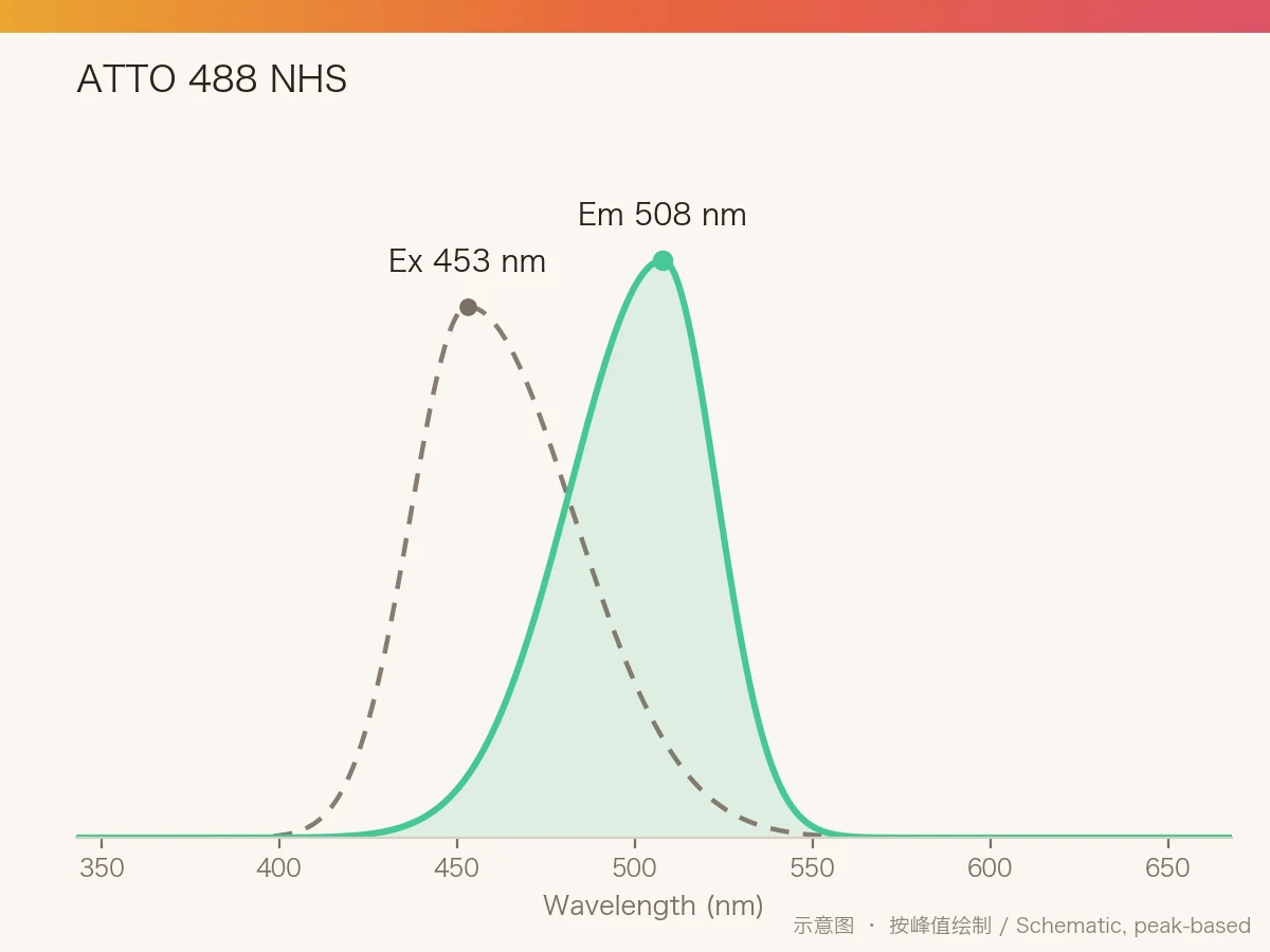 ATTO 488 NHS Ester 的激发/发射光谱示意图