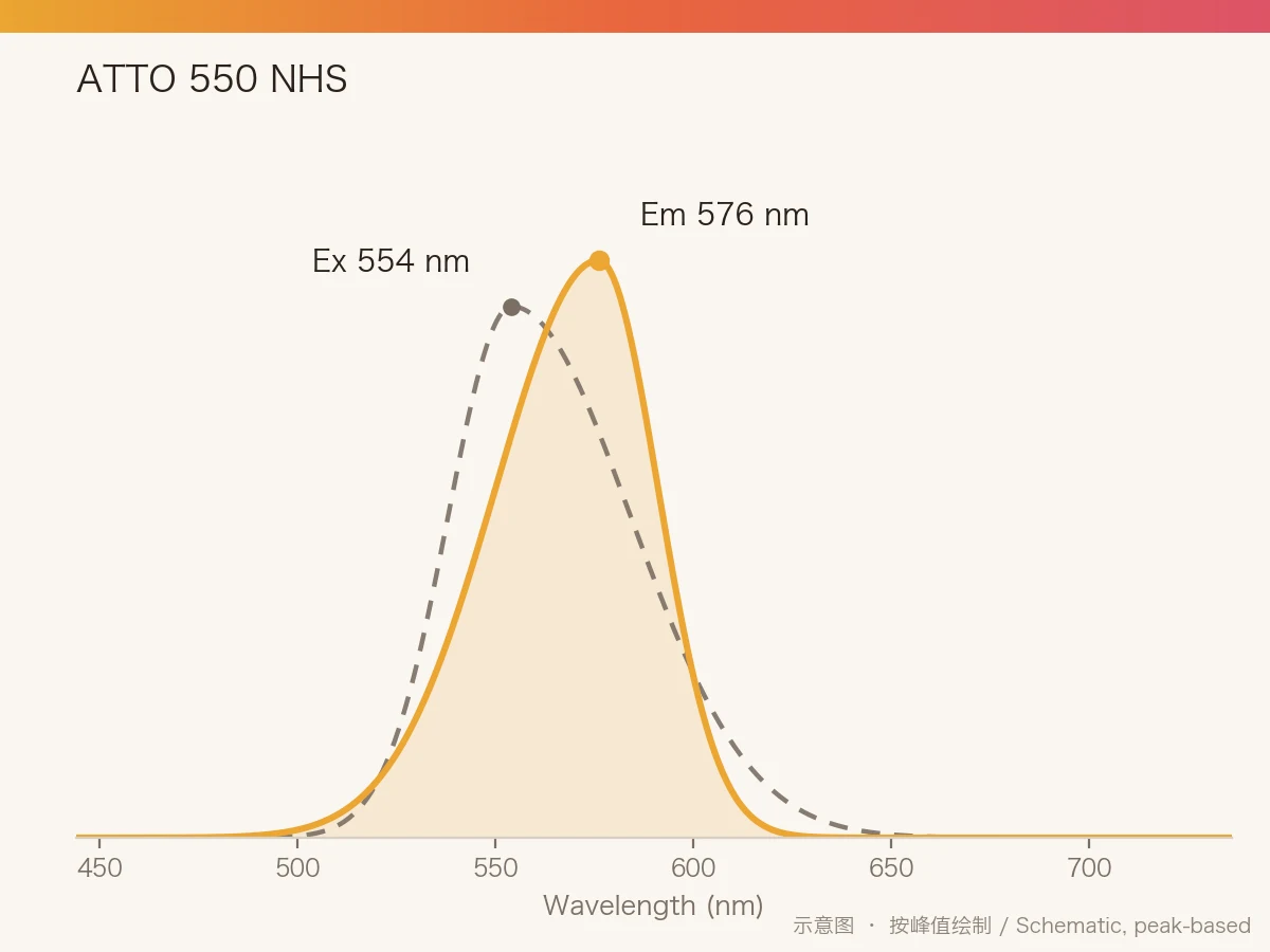 ATTO 550 NHS Ester 的激发/发射光谱示意图
