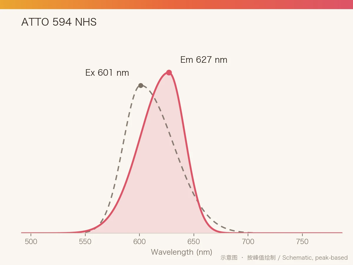 ATTO 594 NHS Ester 的激发/发射光谱示意图