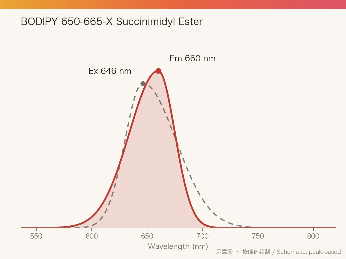 BODIPY 650-665-X Succinimidyl Ester 的激发/发射光谱示意图