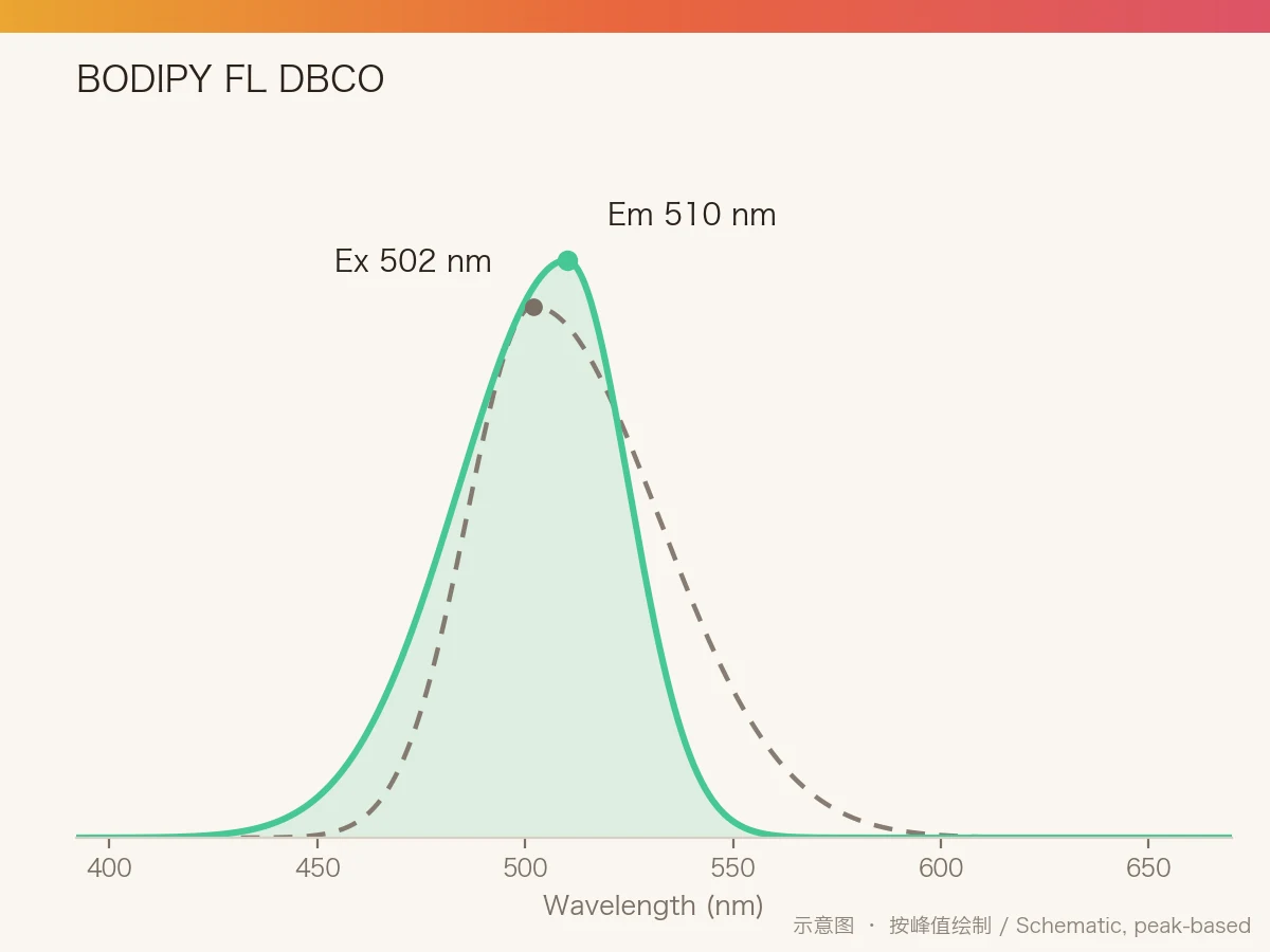 BODIPY FL DBCO 的激发/发射光谱示意图
