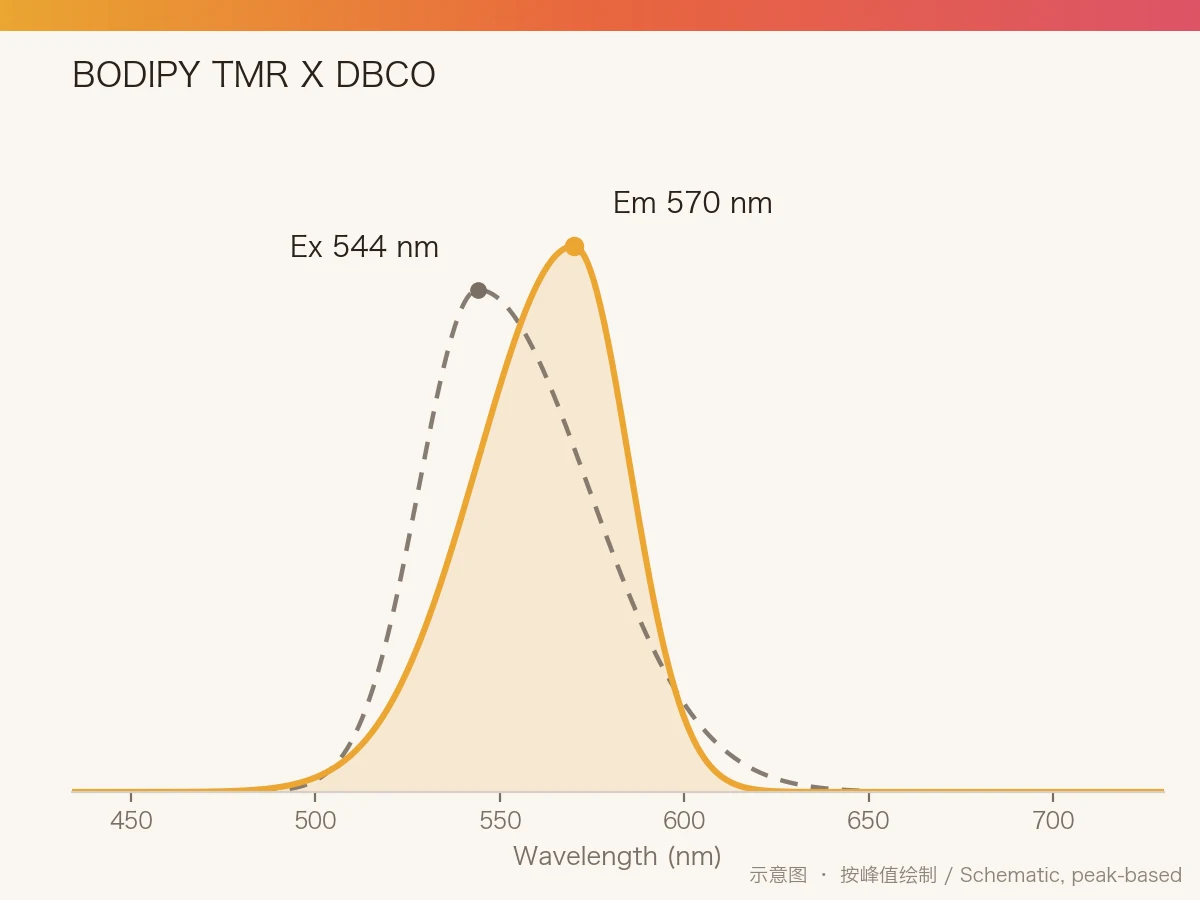 BODIPY TMR X DBCO 的激发/发射光谱示意图