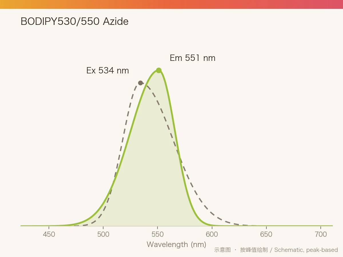 BODIPY530/550 Azide 的激发/发射光谱示意图