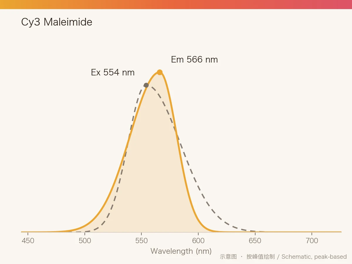 Cy3 Maleimide 的激发/发射光谱示意图