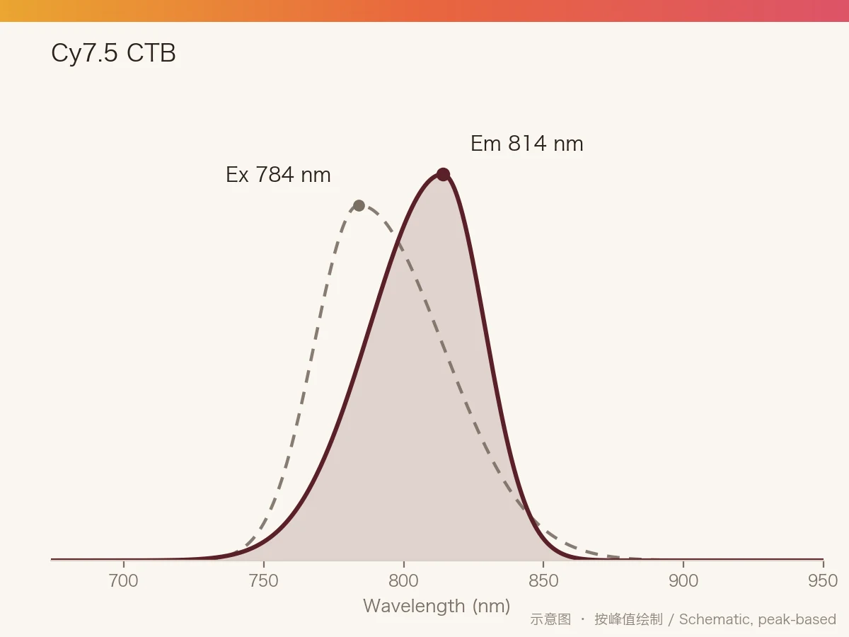Cy7.5 CTB 的激发/发射光谱示意图