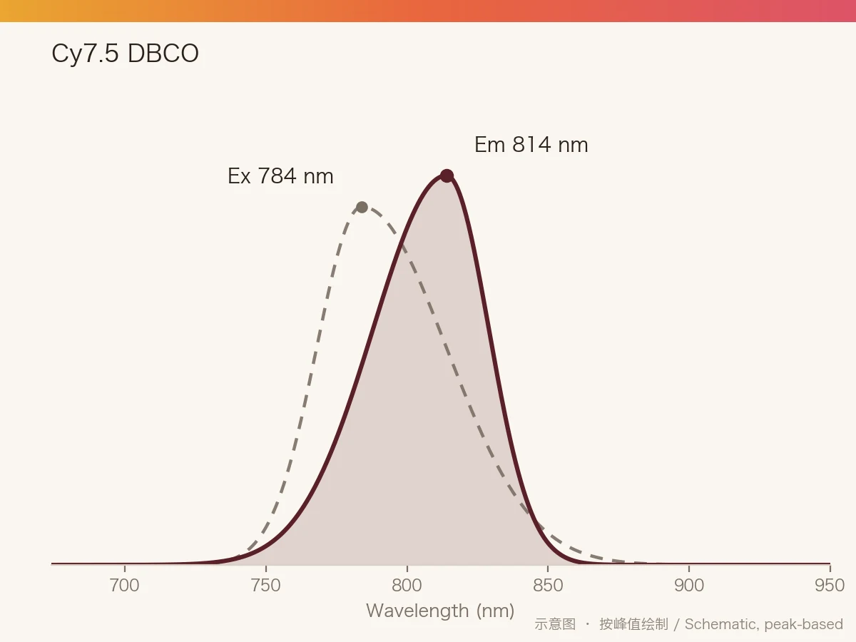 Cy7.5 DBCO 的激发/发射光谱示意图