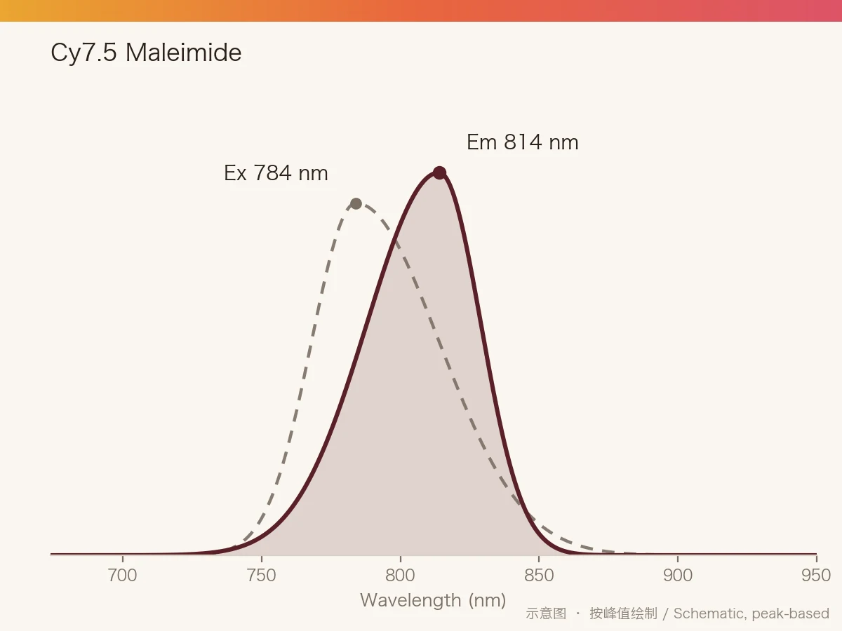 Cy7.5 Maleimide 的激发/发射光谱示意图