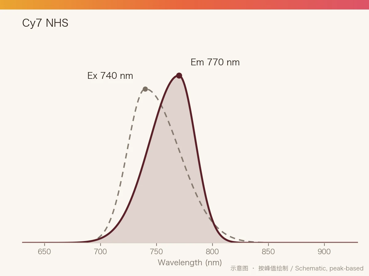 Cy7 NHS Ester 的激发/发射光谱示意图