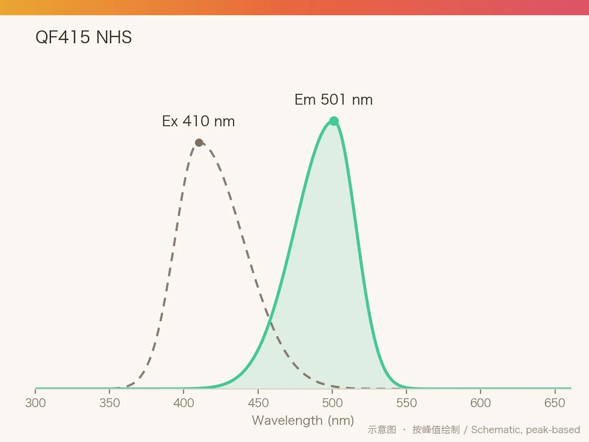 QF415 NHS Ester 的激发/发射光谱示意图