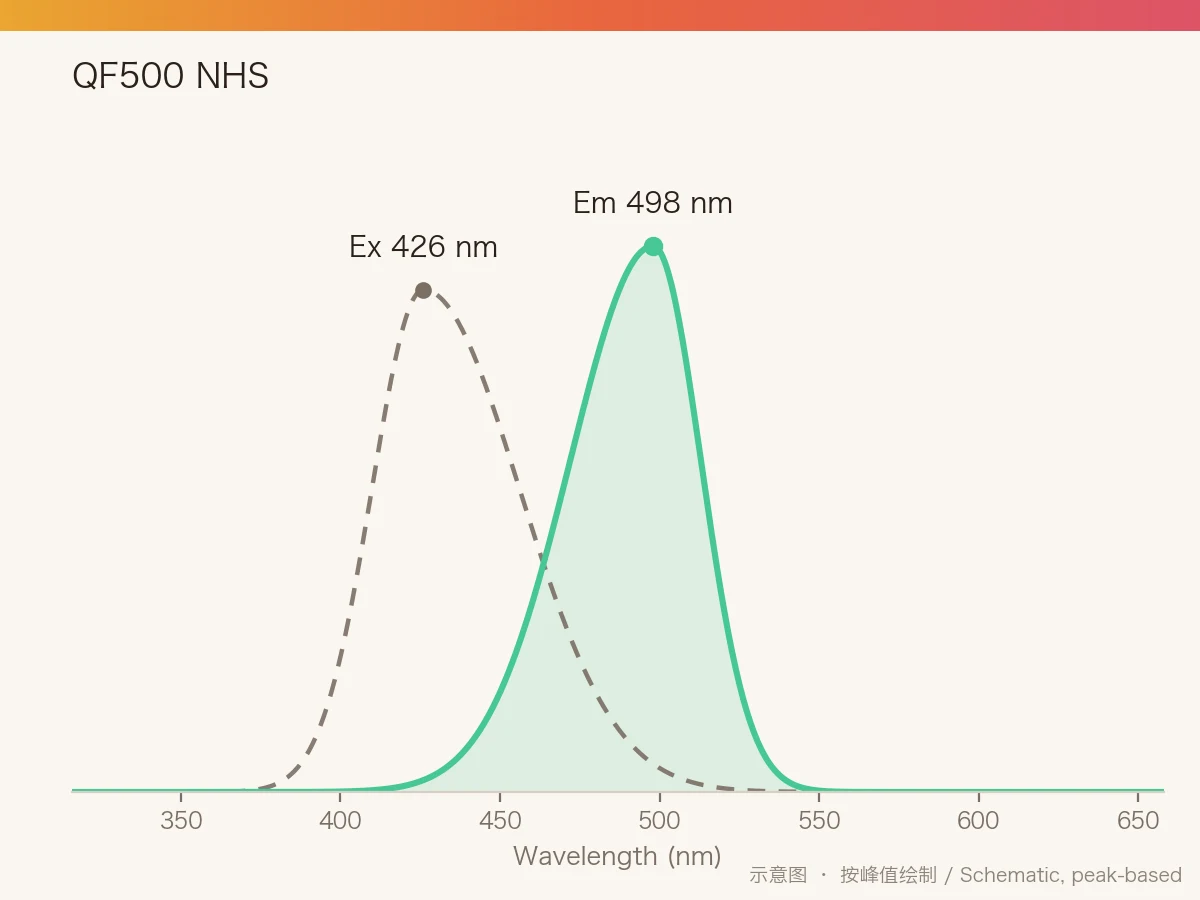 QF500 NHS Ester 的激发/发射光谱示意图