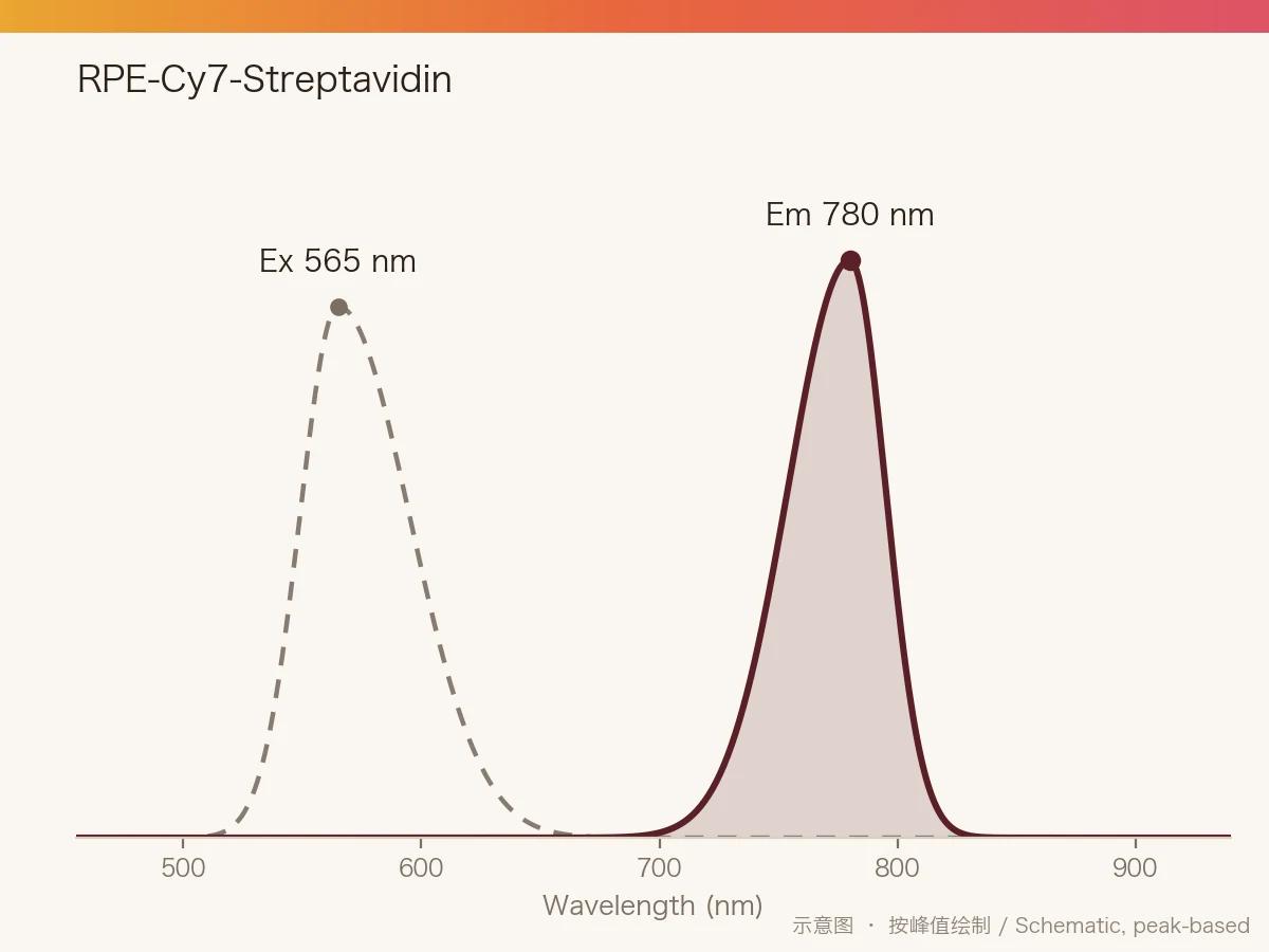 RPE-Cy7-Streptavidin 的激发/发射光谱示意图