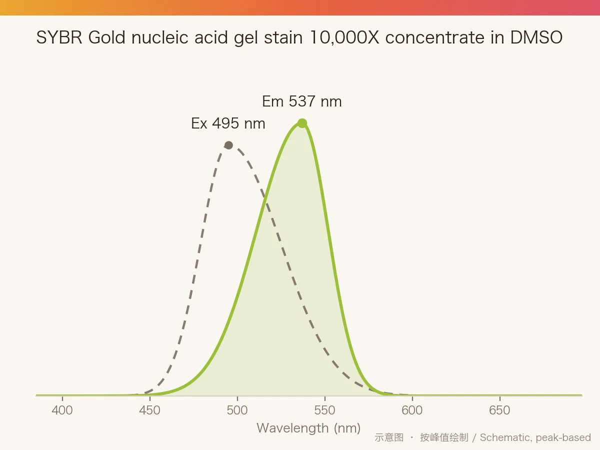 SYBR Gold nucleic acid gel stain 10,000X concentrate in DMSO 的激发/发射光谱示意图