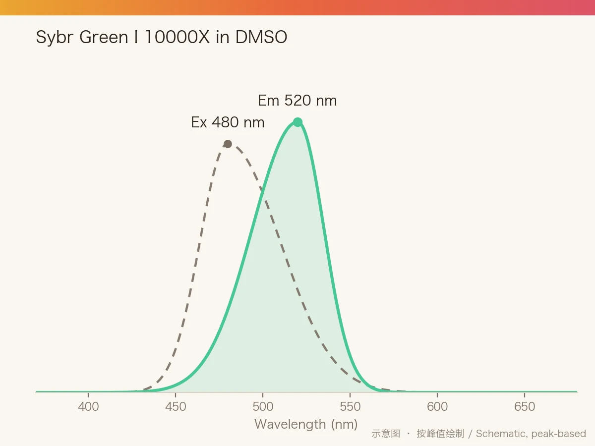 Sybr Green I 10000X in DMSO 的激发/发射光谱示意图