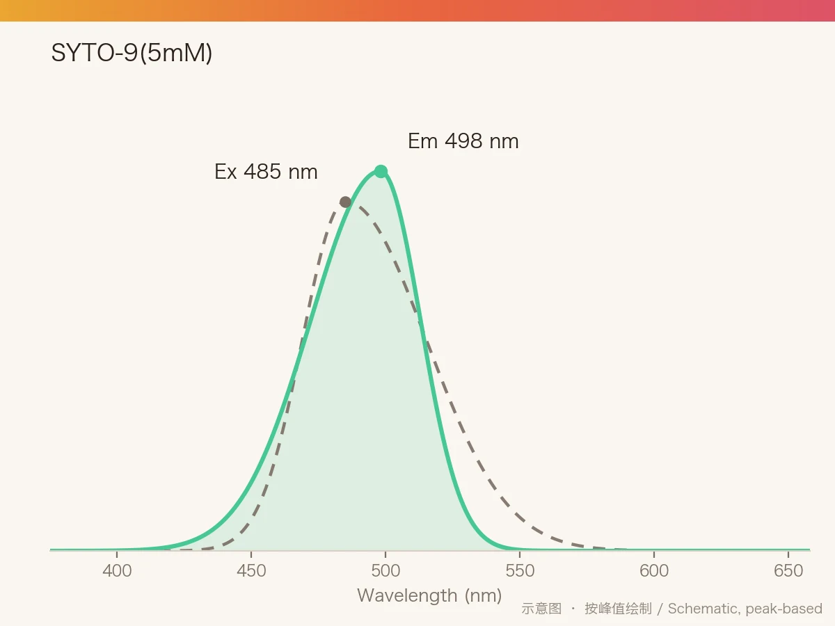 SYTO-9(5mM) 的激发/发射光谱示意图