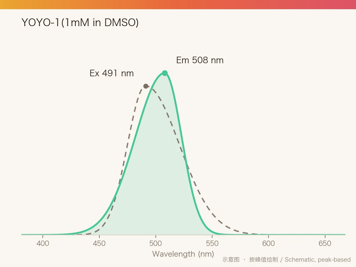 YOYO-1(1mM in DMSO) 的激发/发射光谱示意图